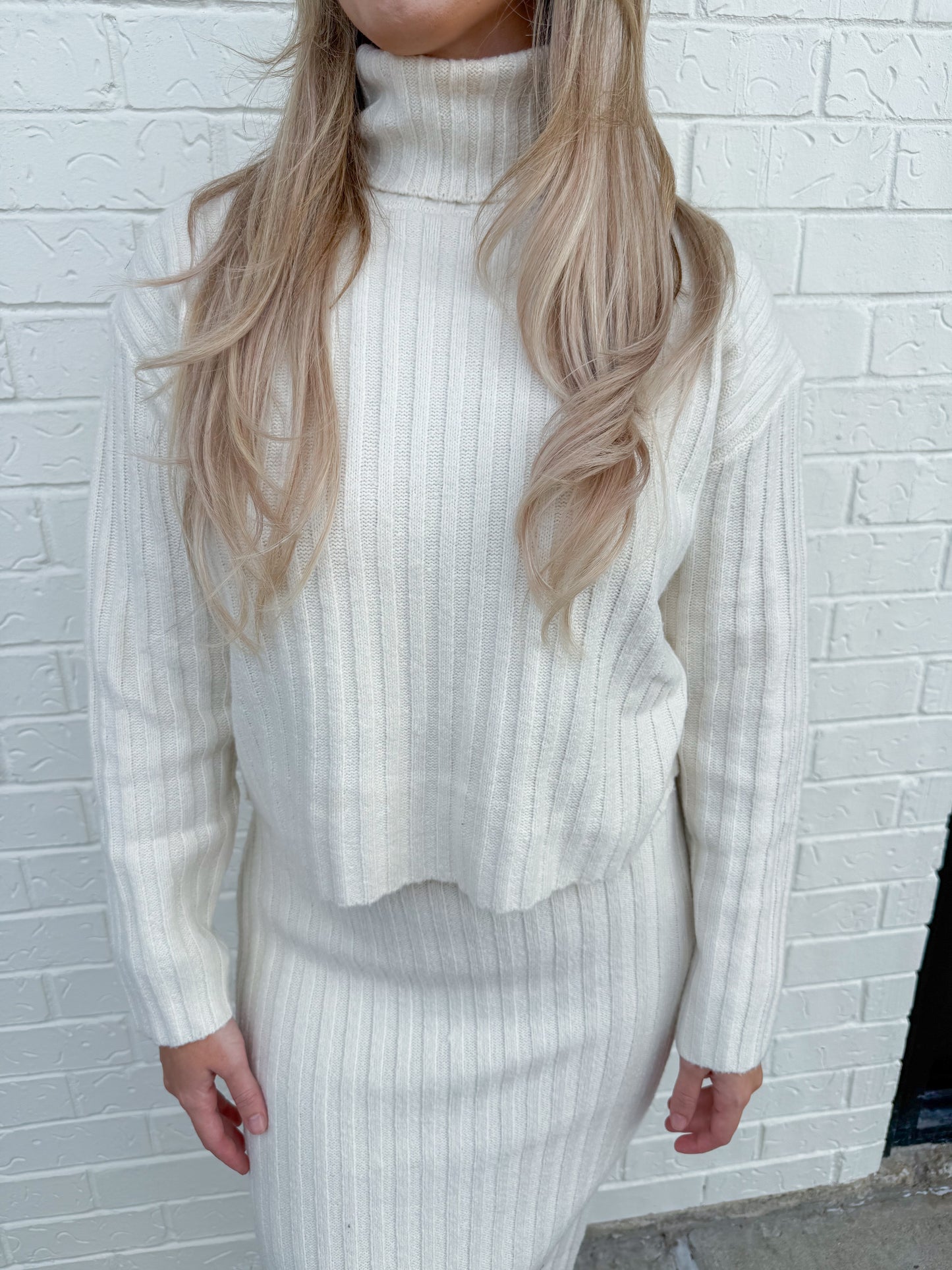 Cosette Rib Turtleneck Sweater