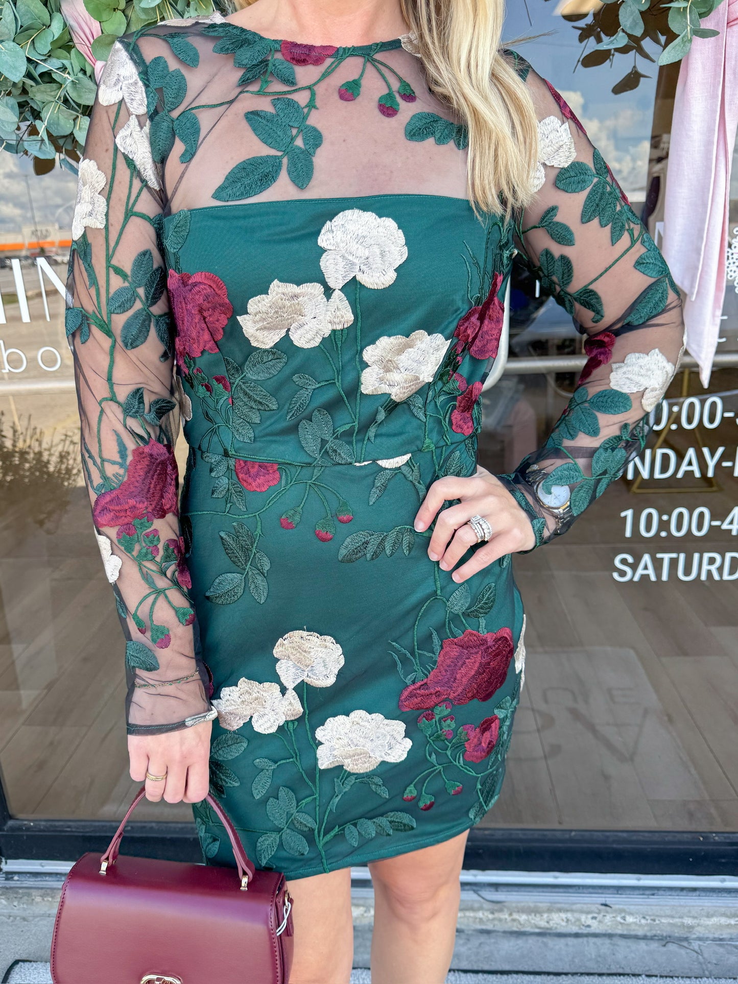 Noia Embroidered Mini Dress