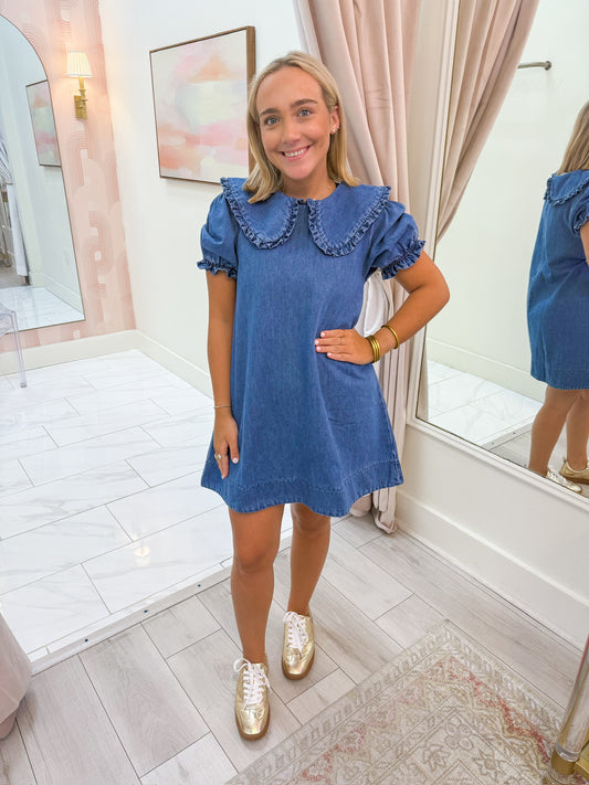 Brooklyn Denim Mini Dress