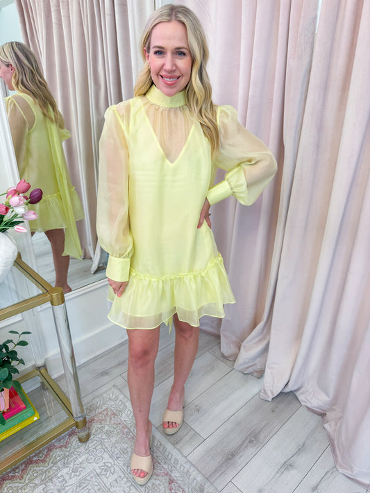 Time For Tea Chiffon Mini Dress