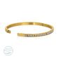 Hinge Cubic Zirconia Bangle