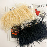 Feathers Evening Clutch