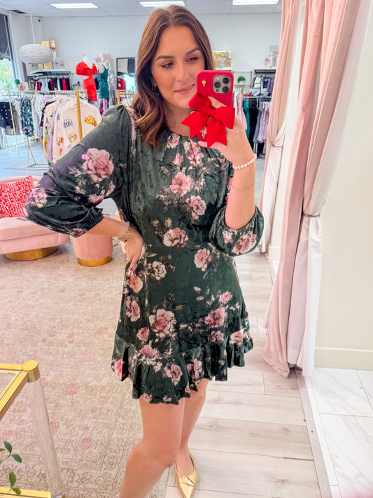 Leabella Velvet Floral Mini Dress