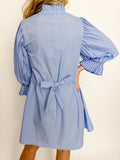 Lucille Pleated Sleeve Mini Dress