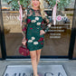Noia Embroidered Mini Dress