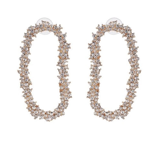 AC Crystal Garland Drop Earrings