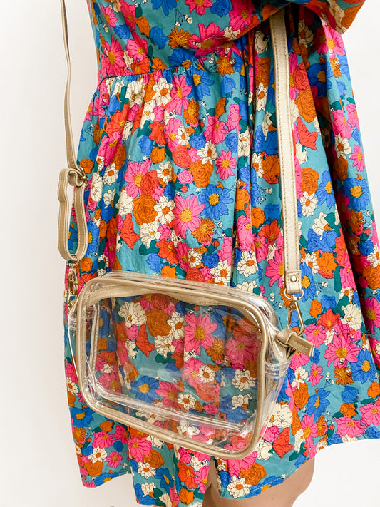 Bridget Clear Purse